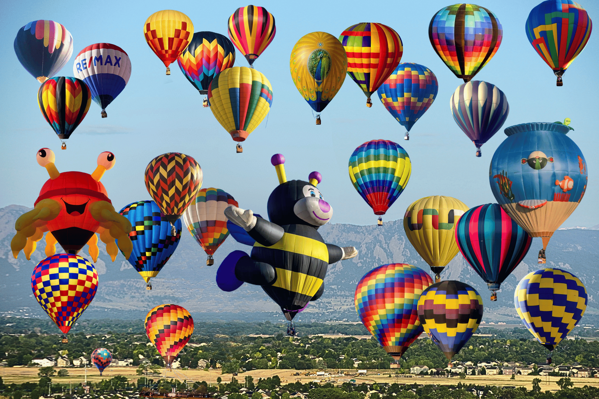 Welcome to our 2026 Erie Balloon Festival pilots